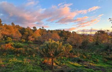 Bayo - terra essentia - Foto 5