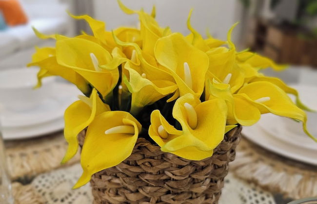 The Infinity - Foto 62