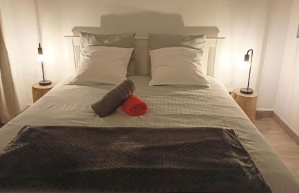 Beau T3 à 5 min du Grand Stade avec parking gratuit - Foto 11