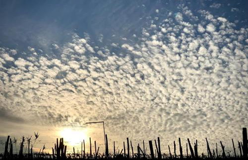 Casa Elisabetta - Foto 54