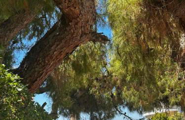 Saronida Beachwalk Stay - Photo 1