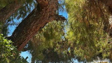 Saronida Beachwalk Stay - Foto 1