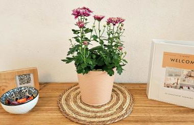 Apartment Südwind - Beautiful premium apartment with 2 bedrooms near Rhine Falls & Zurich Airport in Klettgau - Foto 9