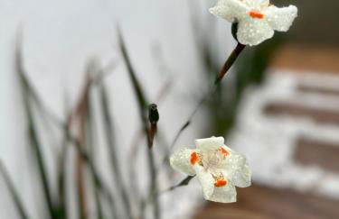 Quintas do Poente - Foto 46