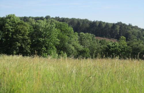 Ferienwohnung Erlenhof - Foto 21