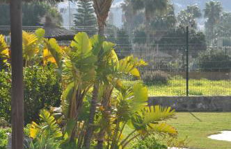 Zahara almadraba playa Atlanterra - Foto 28