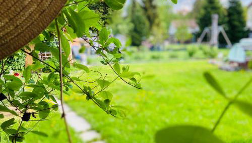 Apartment Emil im EG mit Garten in Suhl - Foto 2, Garden