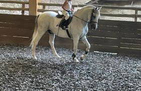 Quinta de Maderne - Foto 75