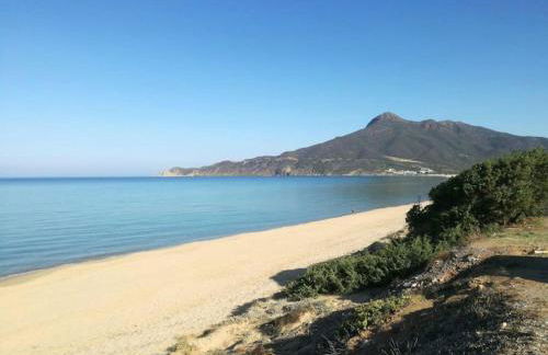 Rosemary Flavor - Foto 1