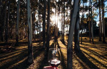 Cabana Terra - Cabanas Recanto do Lago - Photo 52