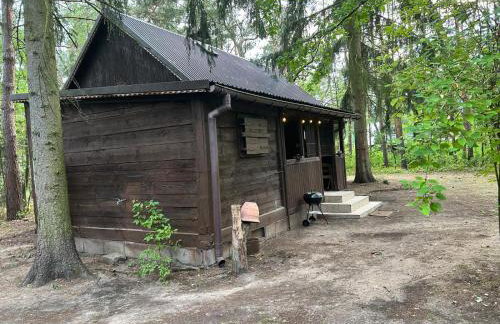 Dom z linią brzegową Narwi 3 - Photo 14