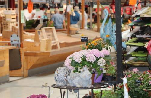 Appartement spacieux à Colmar avec terrasse, garage privatif, proche centre et gare - FR-1-722-2 - Foto 21