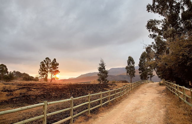 Bergview Farm Cottages by First Private Stays - Photo 42