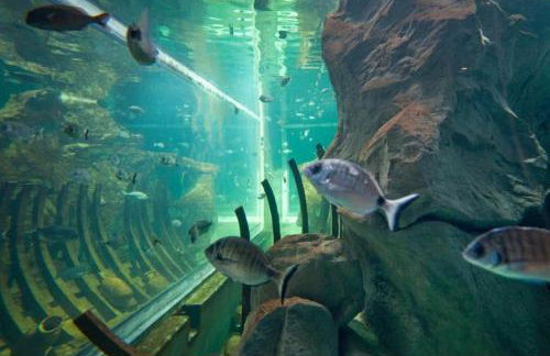 Tuscany By The Sea - Foto 22