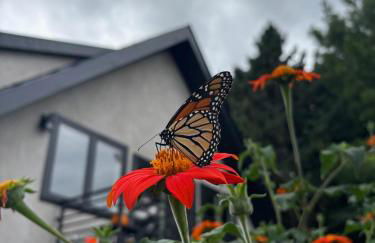 Stunning city views guesthouse - Photo 23