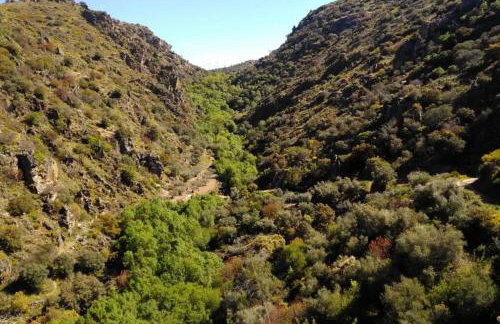 Refúgio do Douro Guest House - Foto 26