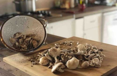 CASA RURAL EN BOSQUE DE PALMERAS - Foto 7