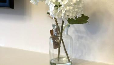 Chic 1BD Flat - W/views of Edinburgh Castle! - Foto 3