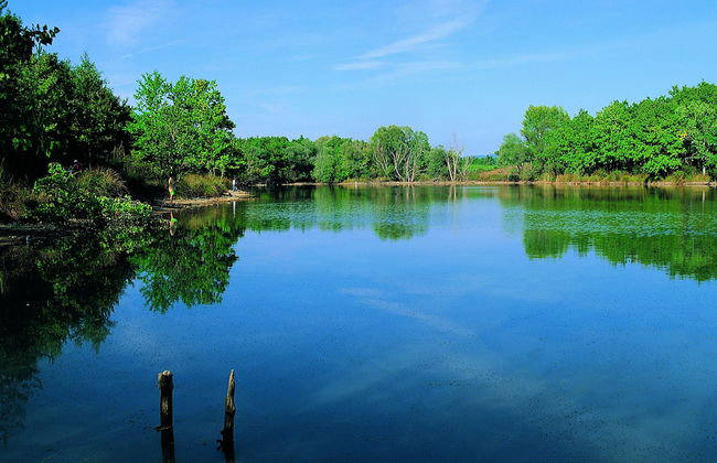 Fattoria Casabianca - Foto 20