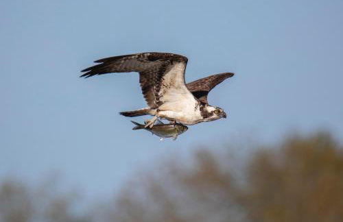 Paddler's Lane Retreat - Foto 62