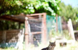 Agriturismo Pozzuolo - Foto 55