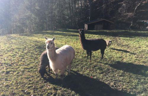 Stylish and modern - Alm-Flat-Vacation - Foto 30