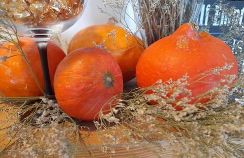 Quinta Manhas Douro - Photo 45