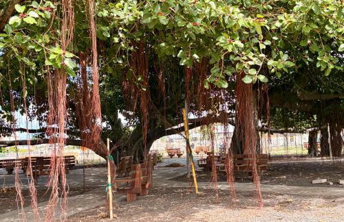 Compass Blue Lahaina - Foto 36