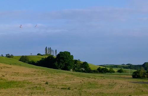 Apartment Kletterrose, Seenähe, Mecklenburgische Seenplatte - Foto 28
