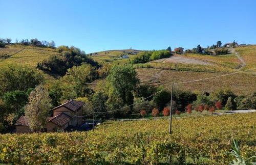 Agriturismo Cascina Frati - Foto 37