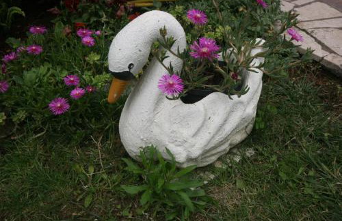 Apartment Luisa - Photo 21