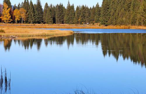 Haus Margarete & Landhaus Karin - Foto 24