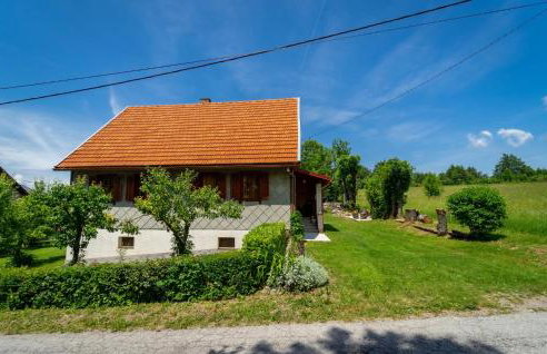 Gorgeous Home In Ravna Gora With Wifi - Foto 8