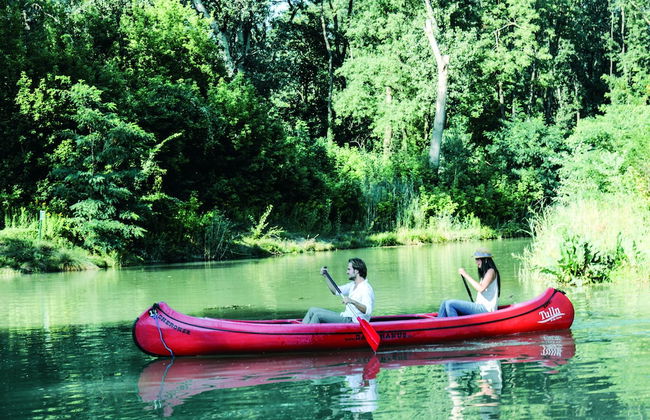 Wachau-Living - Photo 61