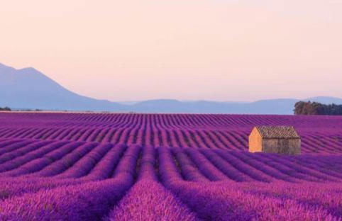 La Villa Sable en Provence - Foto 53