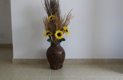 Stay in Itatiaia - Foto 26