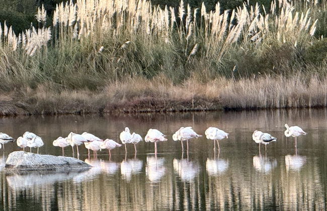 Residence a Licetta - Photo 54