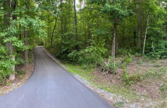 Serenity Escape Treehouse on 14 acres near Little River Canyon - Foto 14