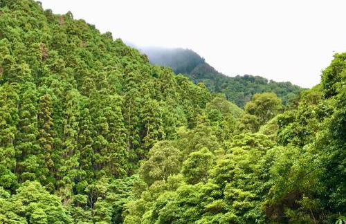 Azores Casa Atlantis - Photo 17