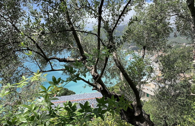 House Sunset by the Sea - Photo 18