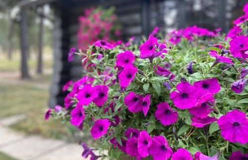 Historic Log Cabin #14 at Horse Creek Resort - Foto 10