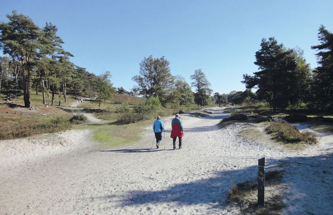 Comfortable Chalet Near Brunssummerheide - Photo 25