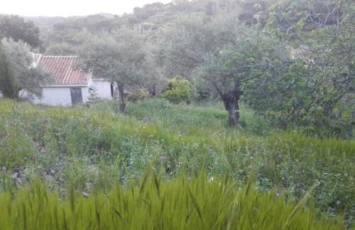 Casita La Pura Vida Yunquera - Foto 25