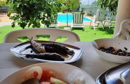 Casa da Vinha Azeitão - Foto 4