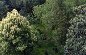Residence du marche - Photo 20