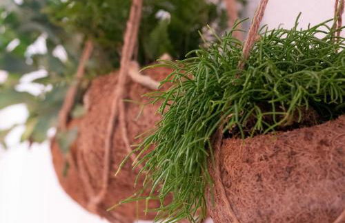 Natürlich mit Stil - 24-7 und Check-in - Foto 19