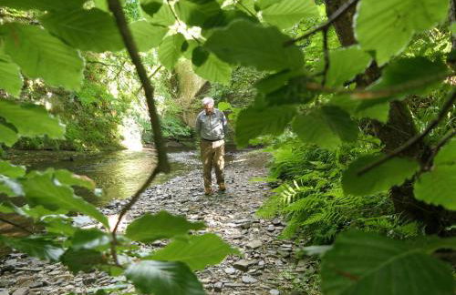 The Old Mill Annexe - Foto 61