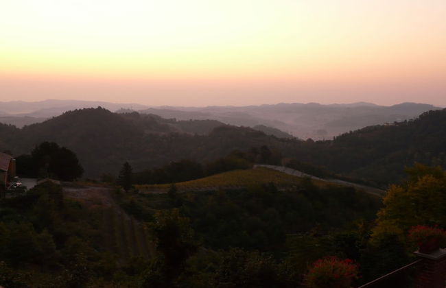 Tenuta Tenaglia - Photo 33