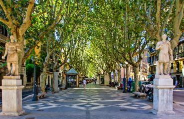 Mountain Finca with Pool - Foto 36