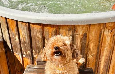 Górska 72 Dom pod Stokiem - Foto 6